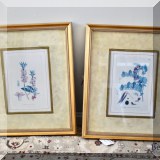 A43. Framed botanical prints. 